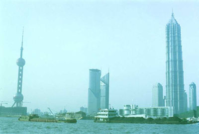 A Shanghai Skyline with Moa and Shanghai Towers