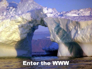 Ice Gate