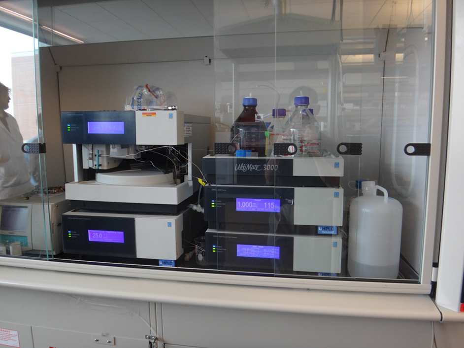 %_tempFileNameDSC00040%