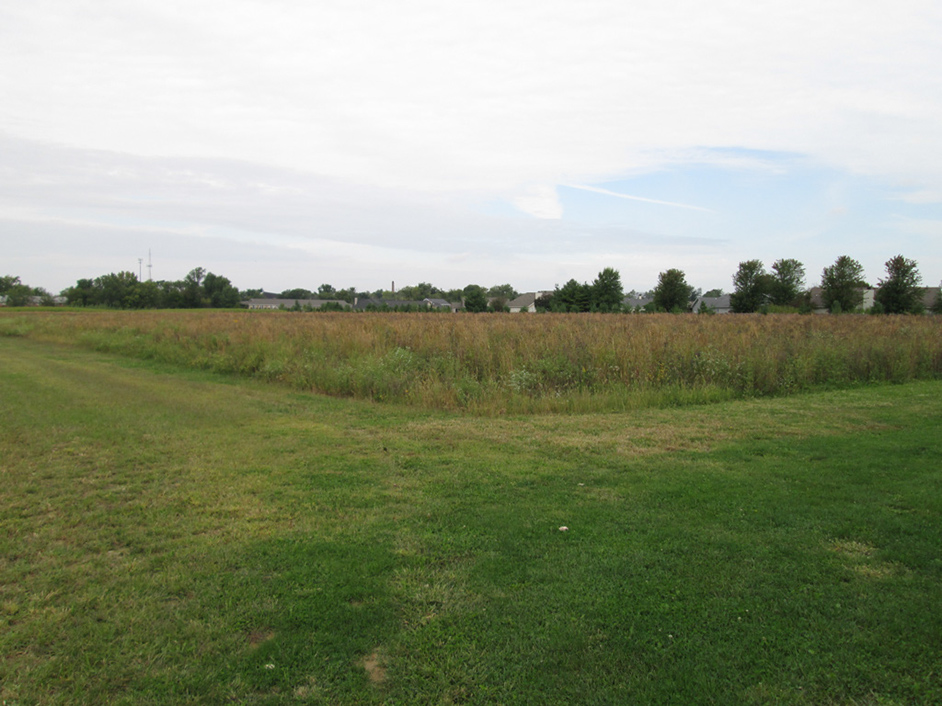 %_tempFileNameIMG_0065%