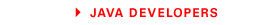 JAVA DEVELOPERS