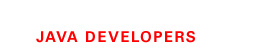 JAVA DEVELOPERS