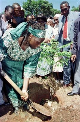 Wangari digging a hole for a tree