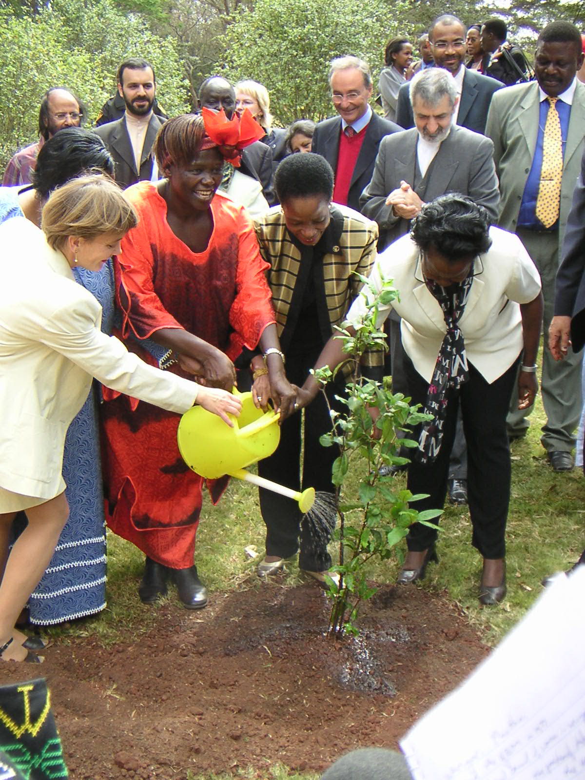 Wangari and others planting a tree