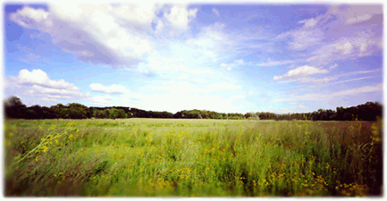 prairie picture